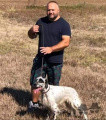 Setter Anglais MARZALE'S EUFRATE Setter Anglais MARZALE'S EUFRATE
